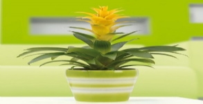 德國進(jìn)口高檔陶瓷花盆雪瑞奇800系列花盆