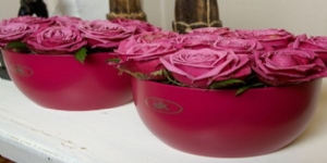 德國進(jìn)口高檔陶制套盆SK巴塞爾啞光