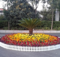 節日花壇