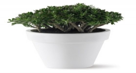 荷蘭進口塑料花盆愛好花盆pure寬邊圓型花盆50(可自打孔）