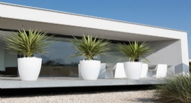 荷蘭進口塑料花盆愛好花盆pure高圓筒型花盆40