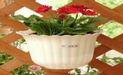 日本愛麗思花盆*WALL樹脂壁掛花盆 6號8號400